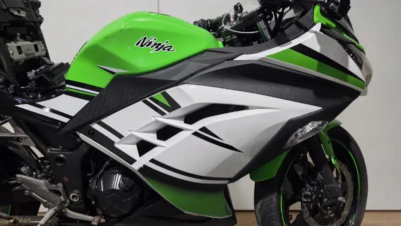 NINJA 300
