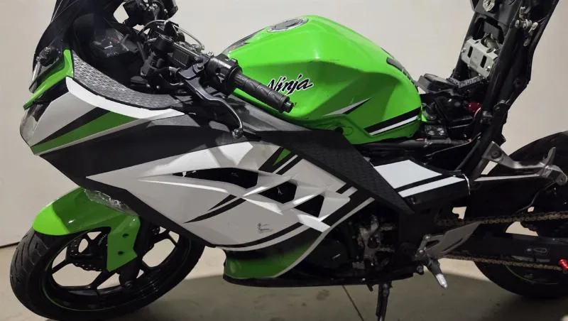 NINJA 300