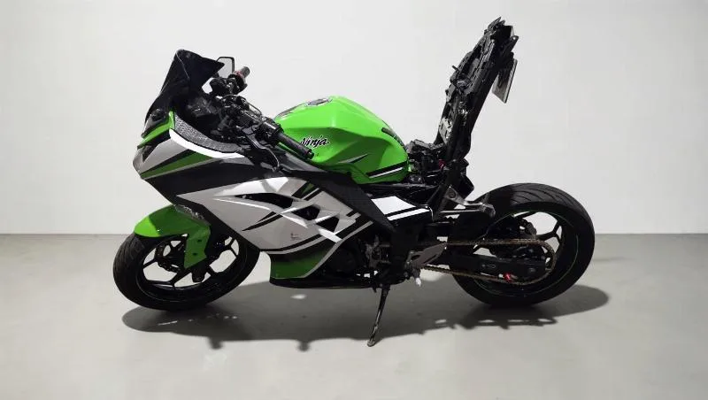 NINJA 300