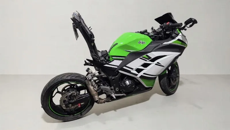 NINJA 300
