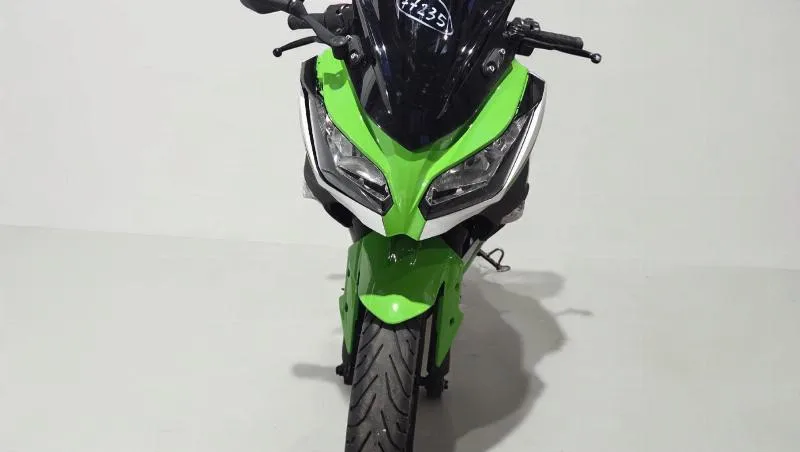 NINJA 300