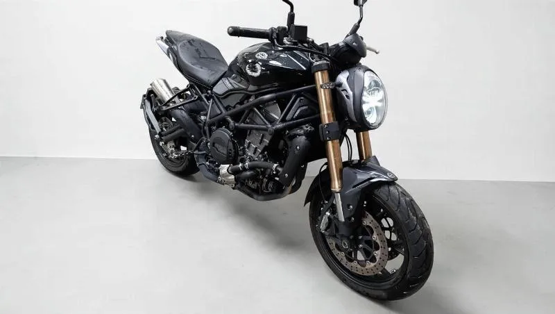 LEONCINO 800