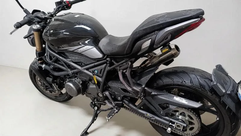 LEONCINO 800