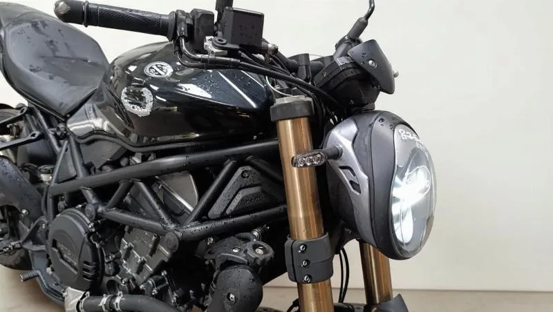 LEONCINO 800