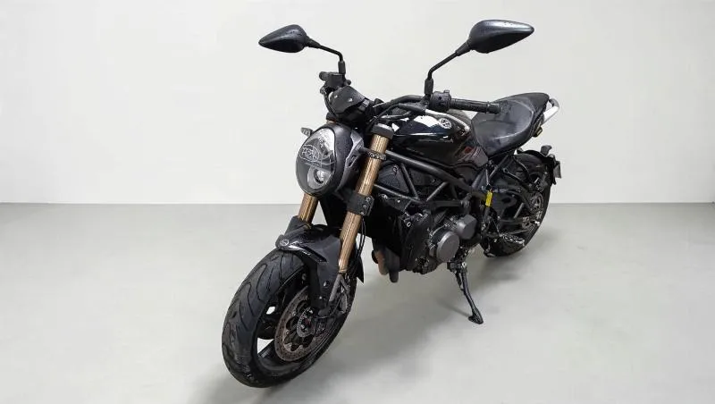 LEONCINO 800