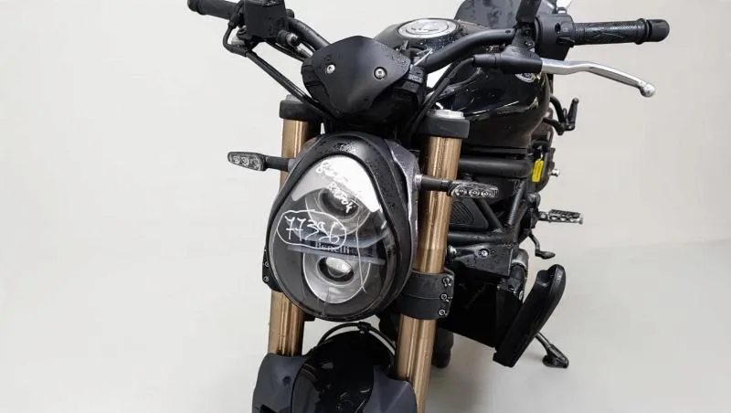 LEONCINO 800