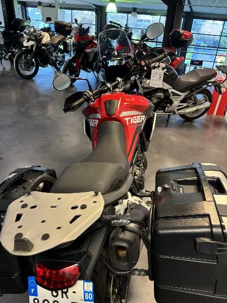 TIGER 900 GT ARAGON EDITION