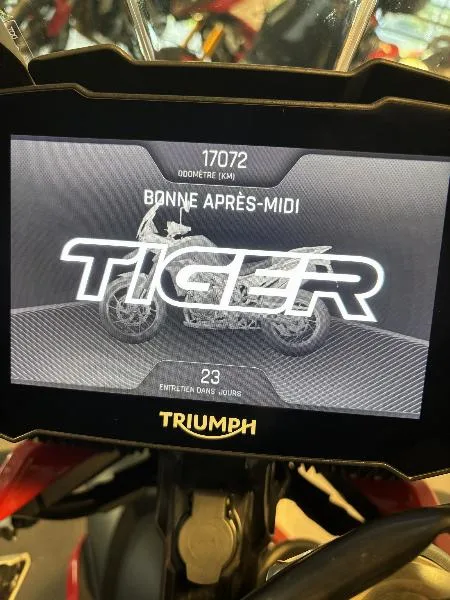 TIGER 900 GT ARAGON EDITION