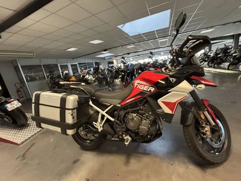 TIGER 900 GT ARAGON EDITION