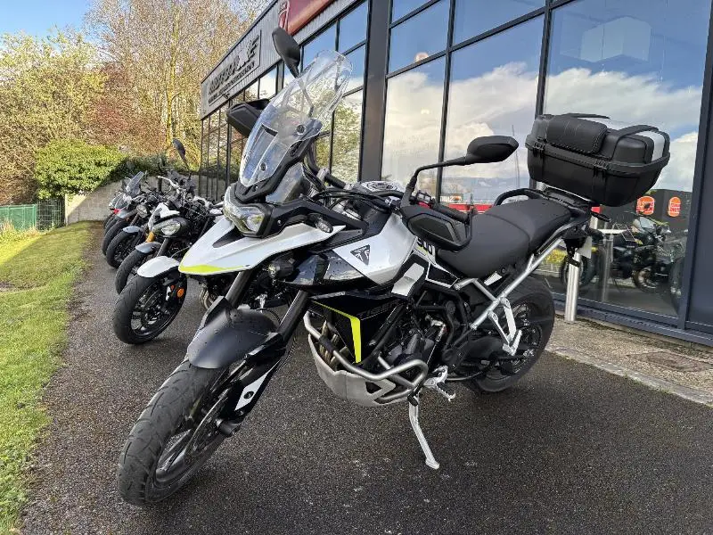 Tiger 900 GT PRO 2025