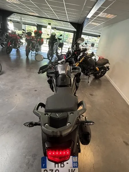 TIGER 1200 GT PRO