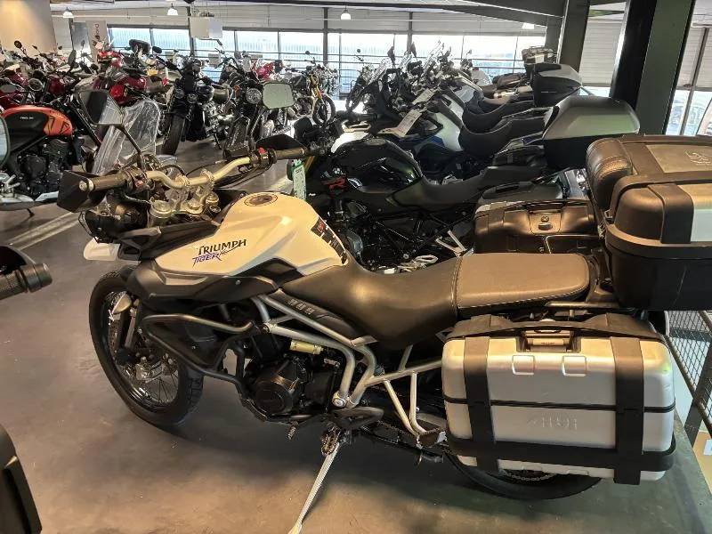 TIGER 800 XC