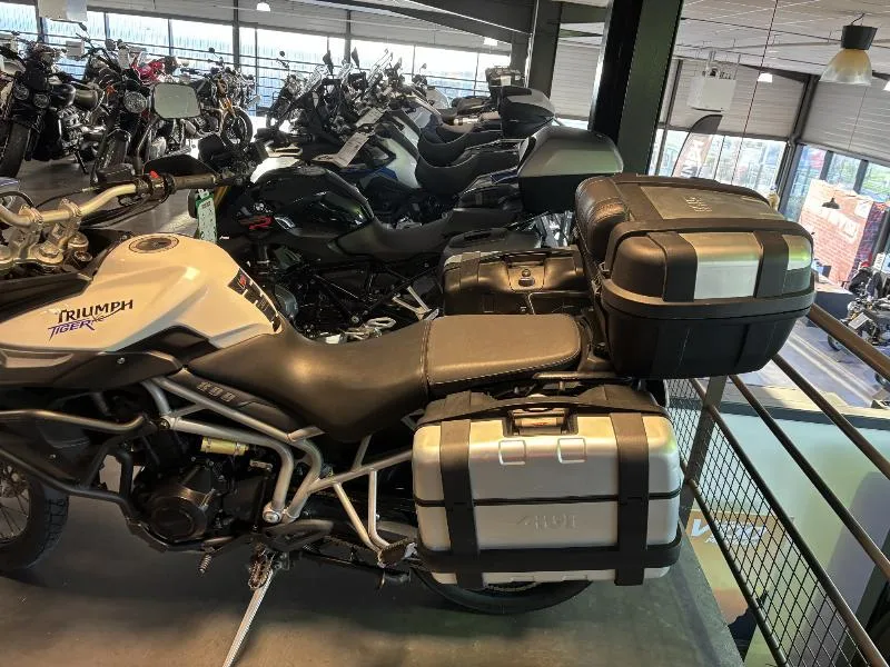 TIGER 800 XC