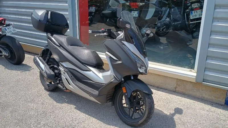 NSS FORZA 300