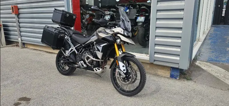 TIGER 900 RALLY PRO