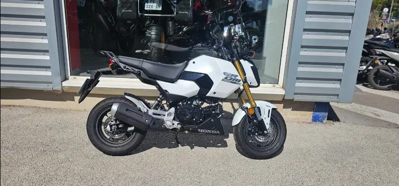 MSX 125 Grom