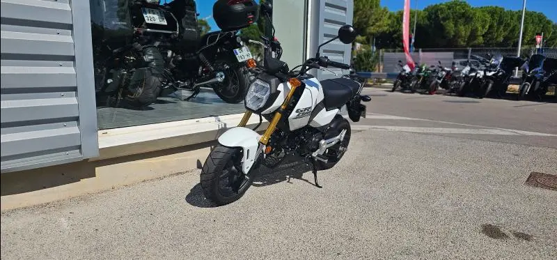 MSX 125 Grom