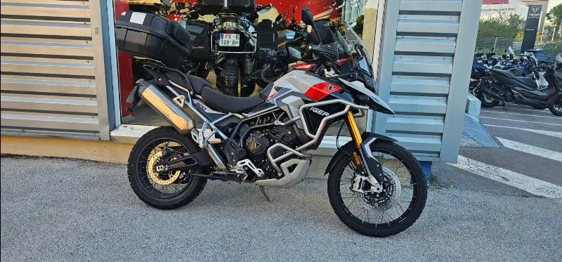 TIGER 900 RALLY PRO 2024