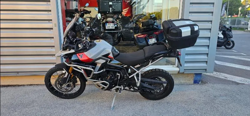 TIGER 900 RALLY PRO