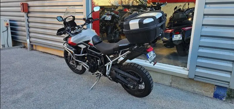 TIGER 900 RALLY PRO