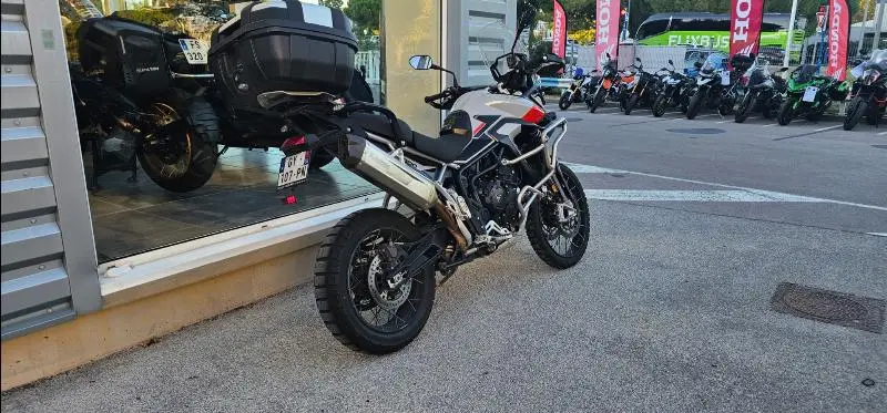 TIGER 900 RALLY PRO