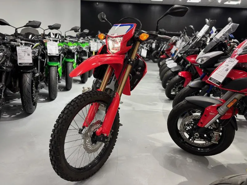 CRF 300L