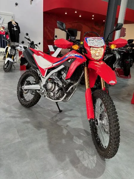 CRF 300 L 2024