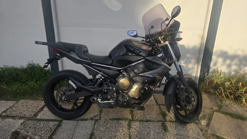 XJ6N