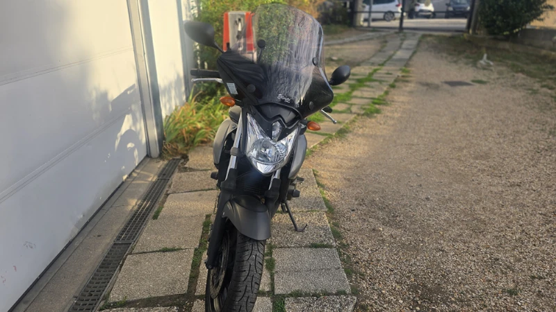 XJ6N