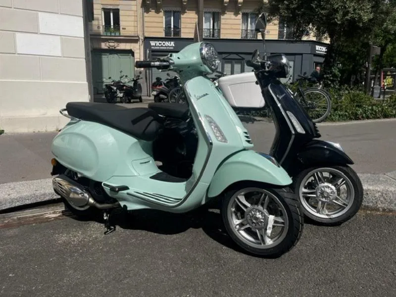 PRIMAVERA 50
