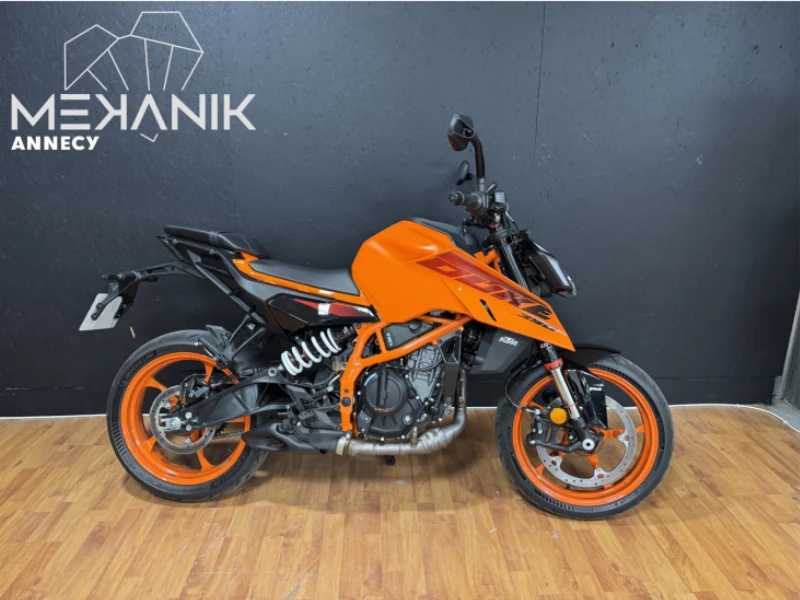 390 DUKE 2024