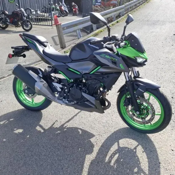 Z 500 2025