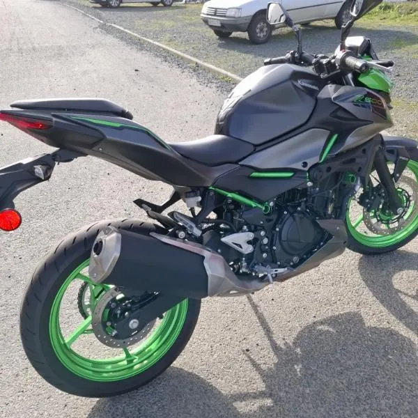 Z 500