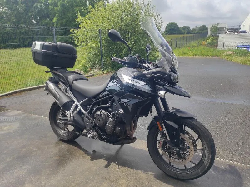 Tiger 900 GT PRO