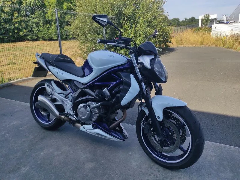 GLADIUS 650 2010