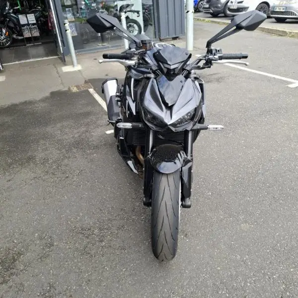 Z1100