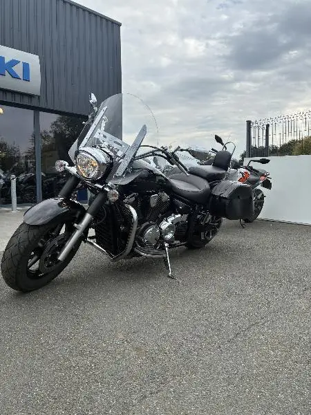 XVS 1300