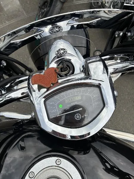 XVS 1300