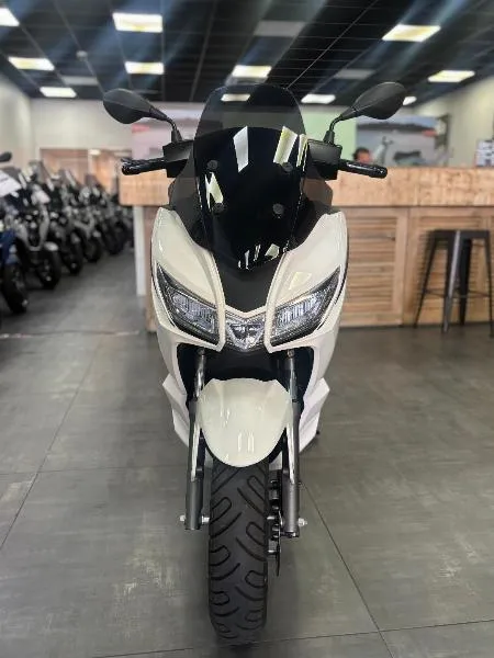 SXR 50
