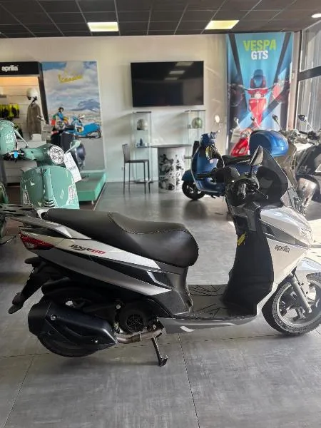 SXR 50