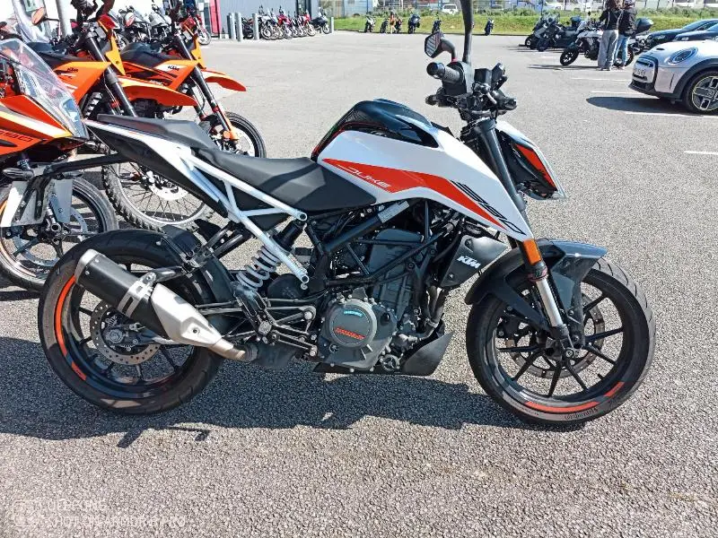 390 DUKE ABS