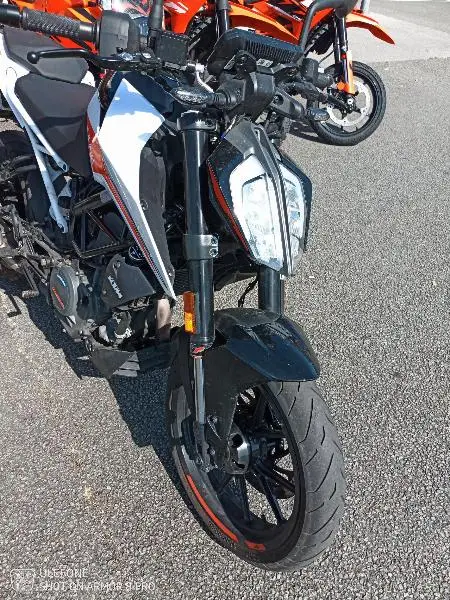390 DUKE ABS