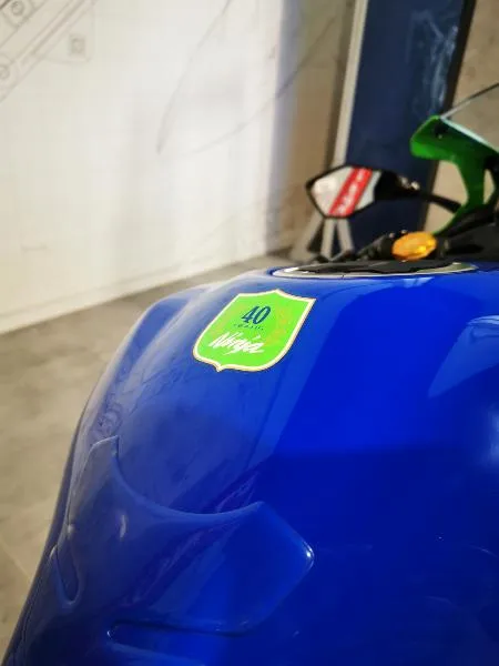 A1