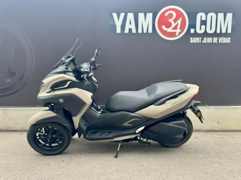 TRICITY 300