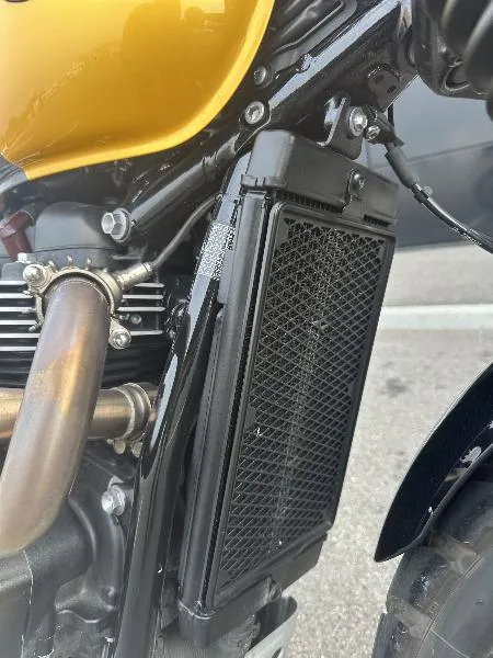 SCRAMBLER 900
