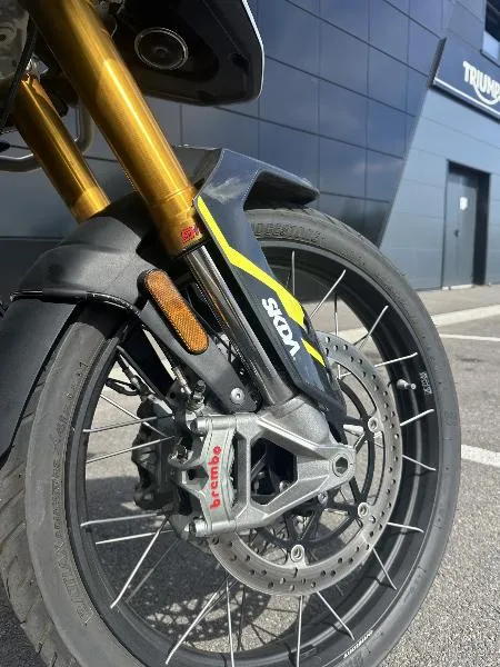 TIGER 900 RALLY PRO