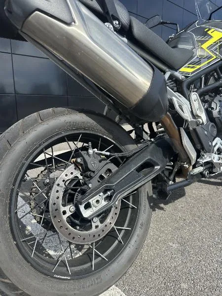 TIGER 900 RALLY PRO