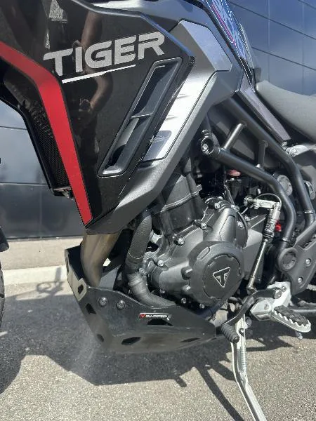 Tiger 900 GT PRO