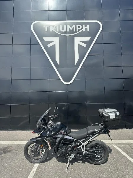 Tiger 900 GT PRO