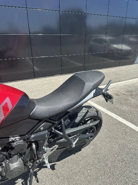 TIGER SPORT 660